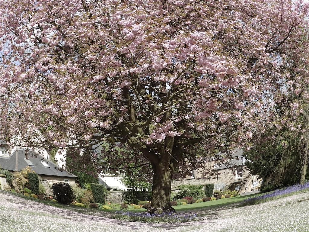 Hedgefield House Hotel Ryton  Kültér fotó